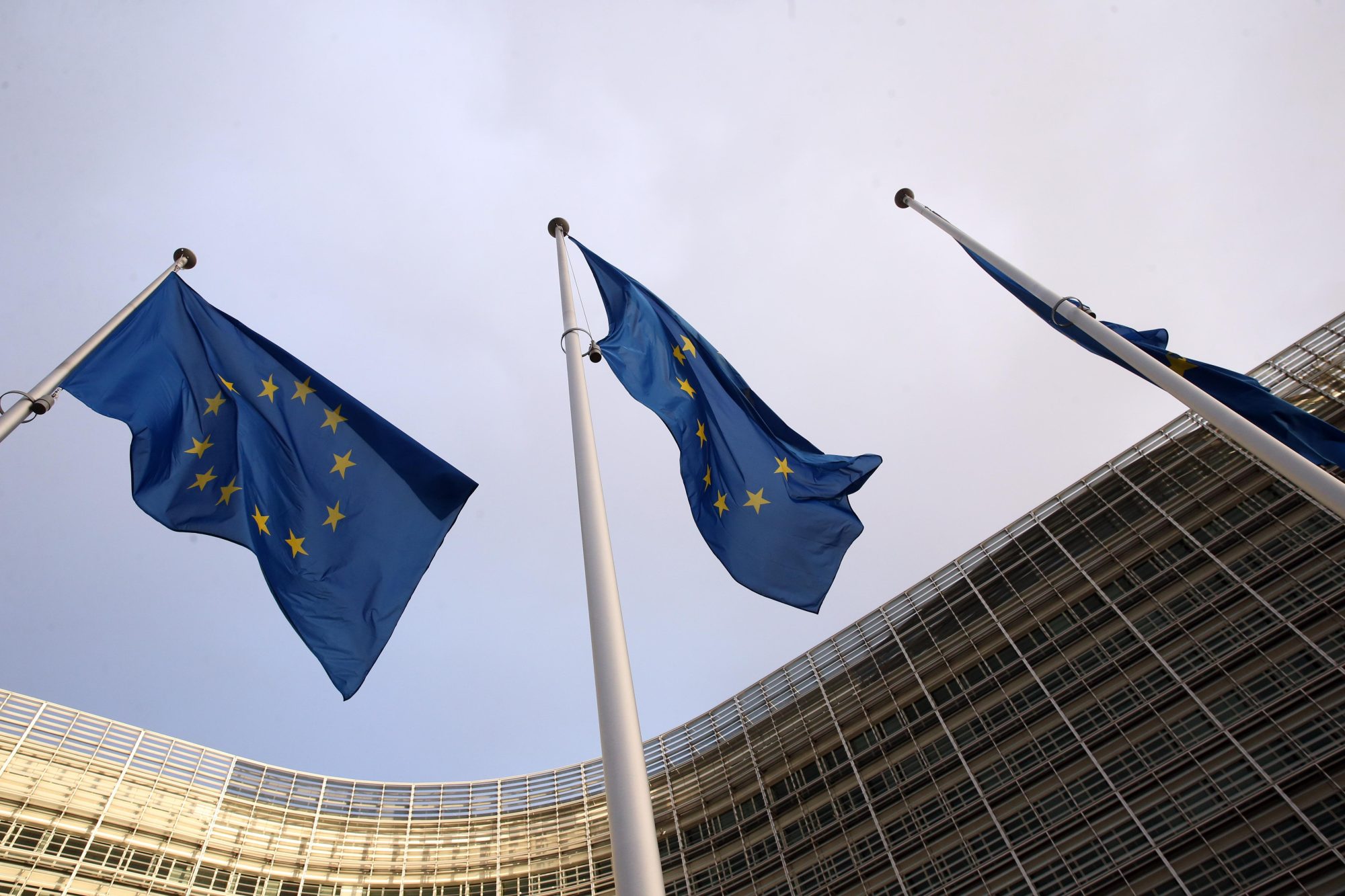 Bandiere Unione Europea
