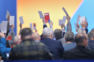 Afd Congresso Riesa
