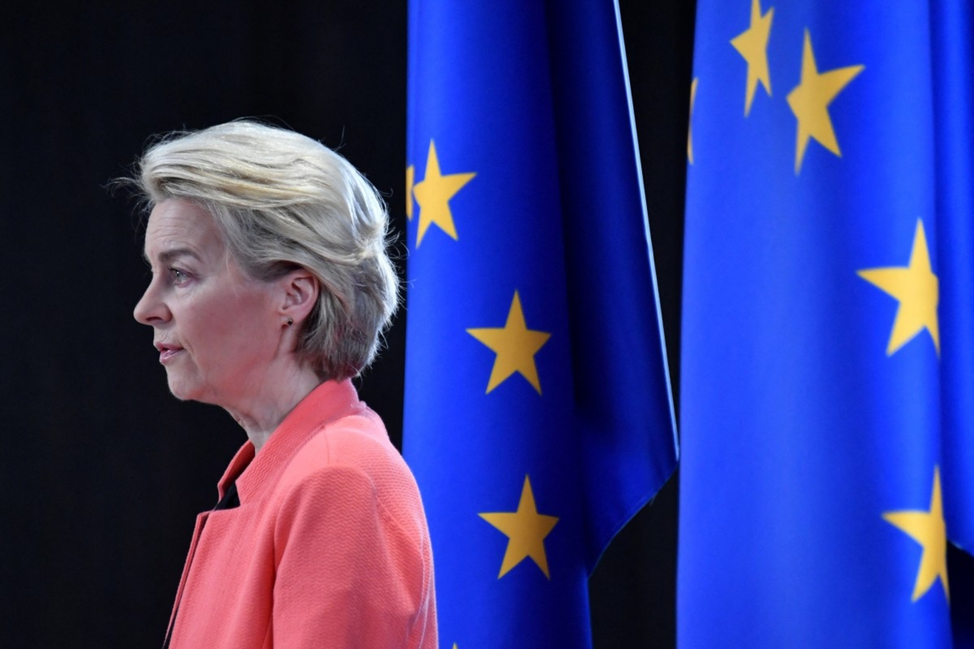 Ursula Von Der Leyen Profilo