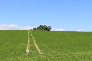 Campo Danimarca