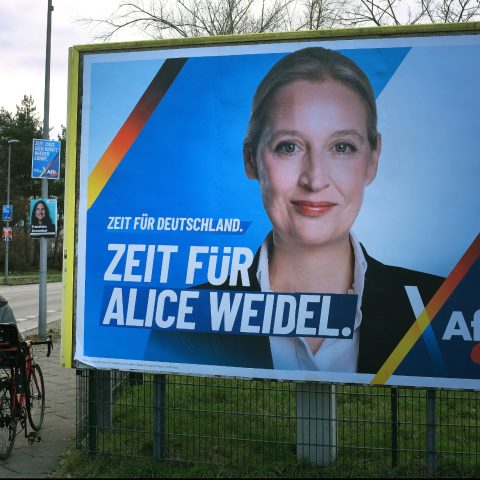 Alice Weidel Cartellone Afd Ipa Ftg