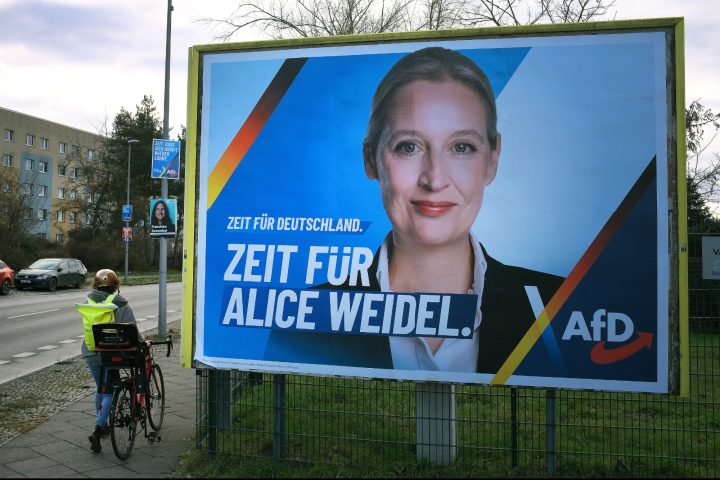 Alice Weidel Cartellone Afd Ipa Ftg
