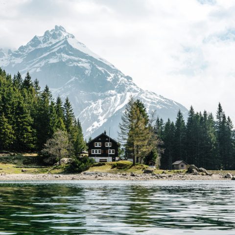 Dino Reichmuth Zlv1ksvifvs Unsplash