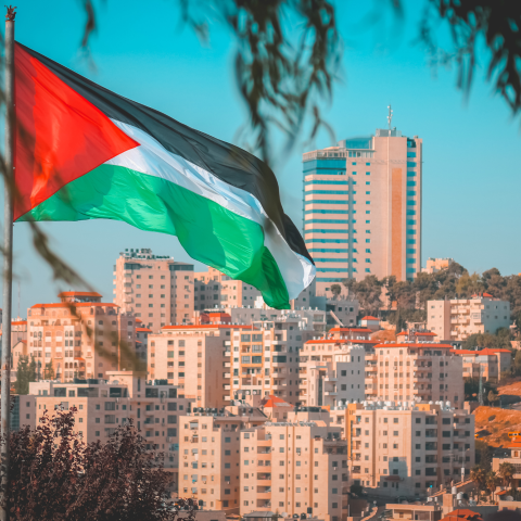 Palestina Bandiera
