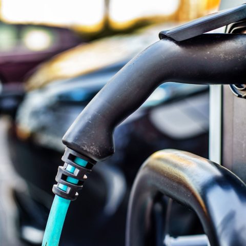 Veicoli Elettrici Cinesi Canva