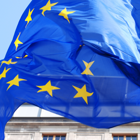 Bandiera Ue Canva