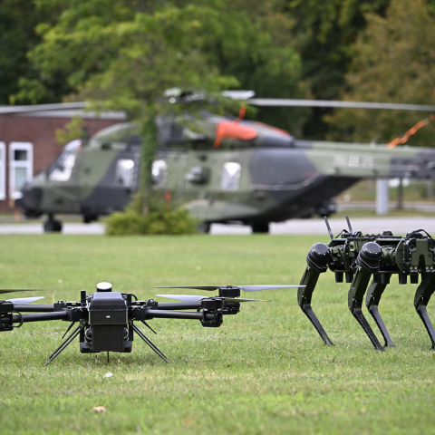 Droni e robot militari in Gernania