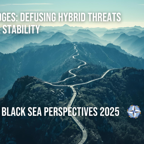 Augmenting Nato Southern Partnerships