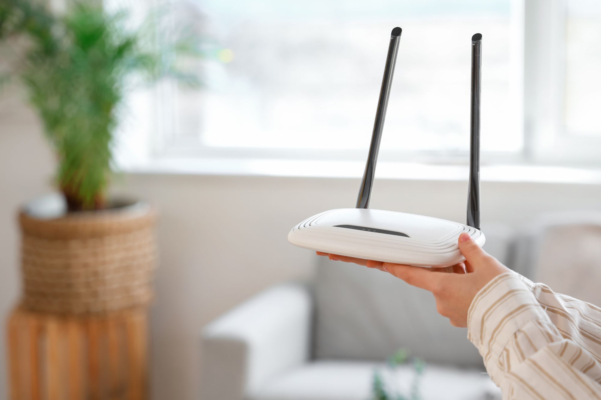 Wi Fi A Casa Rete Internet Canva