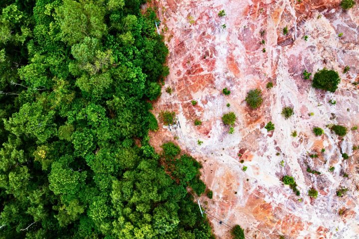 Deforestazione Eudr Canva