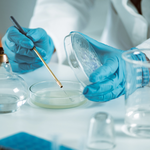 Laboratorio Microbiologia