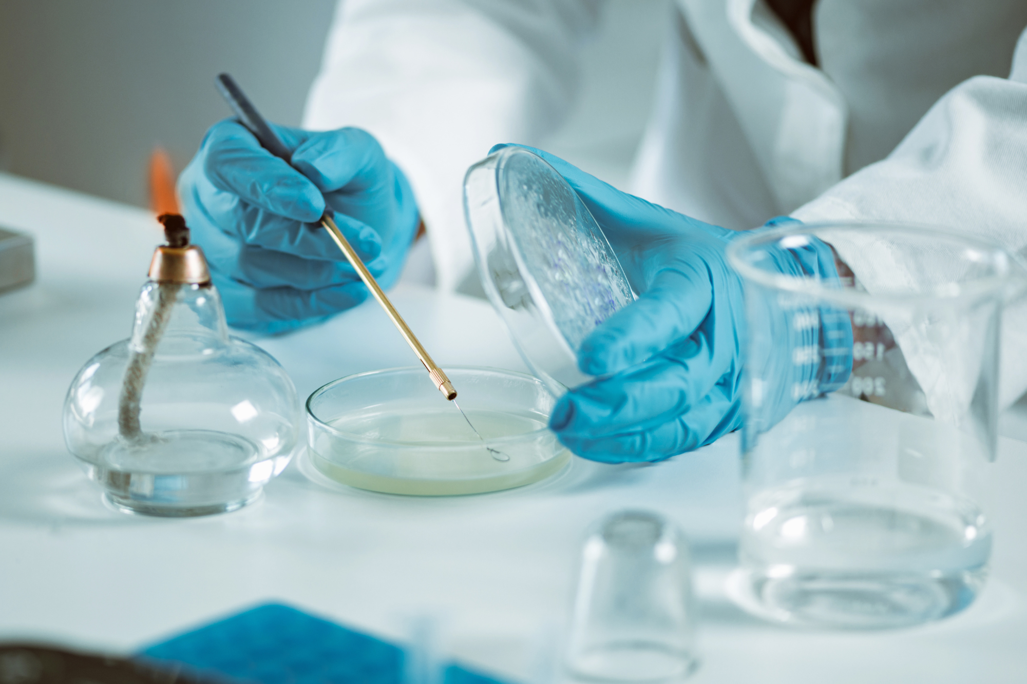 Laboratorio Microbiologia