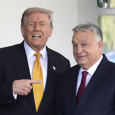 Trump Orban Incontro Ipa Ftg
