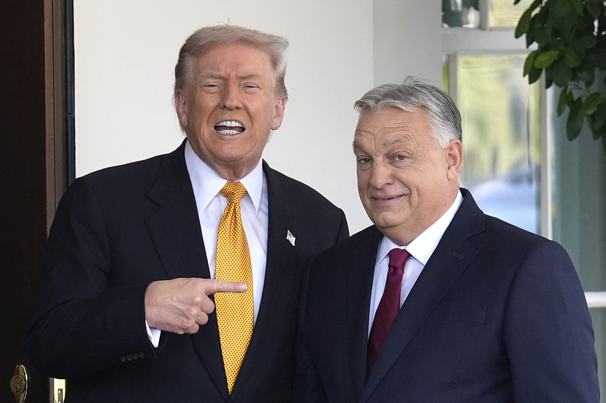 Trump Orban Incontro Ipa Ftg