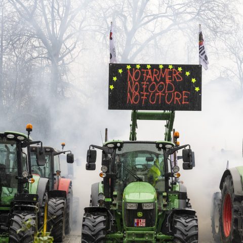 Agricoltori a Bruxelles (Ipa)