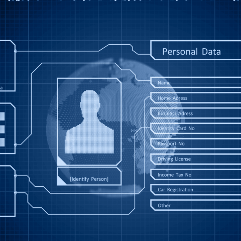 Identita Digitale Online