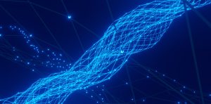 Conny Schneider Preq0ns P E Unsplash