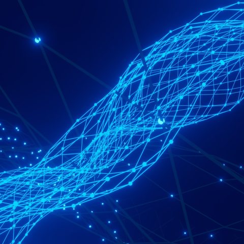 Conny Schneider Preq0ns P E Unsplash