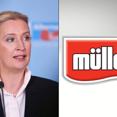 Alice Weidel Ftg Ipa Logo Müller Wikipedia