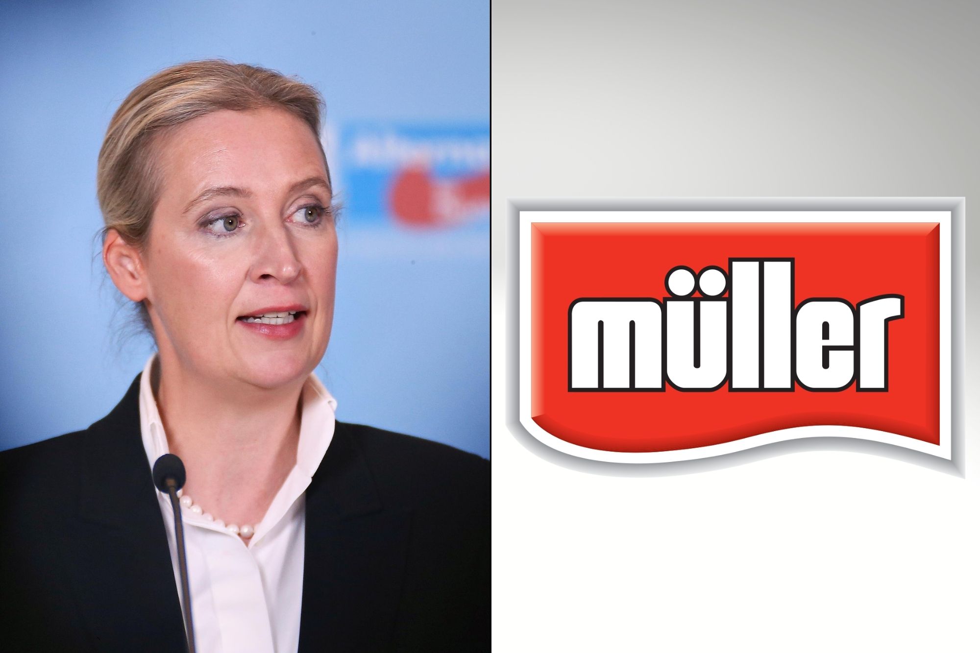 Alice Weidel Ftg Ipa Logo Müller Wikipedia