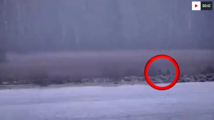 Bild Soldati Russi Estonia Fi Sito Bild