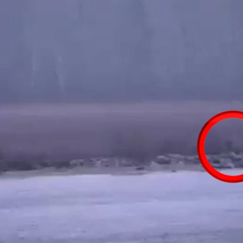 Bild Soldati Russi Estonia Fi Sito Bild