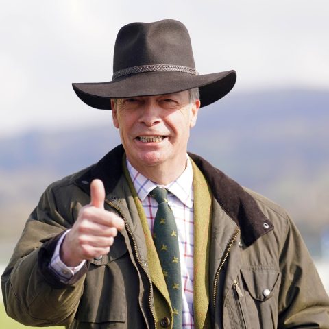 Nigel Farage gesto ok