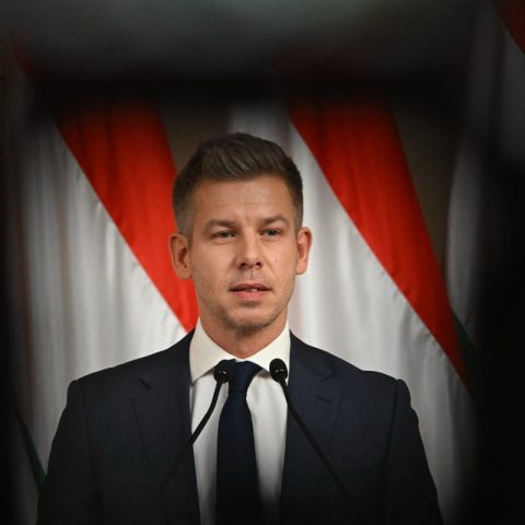 Il leader dell'opposizione ungherese Peter Magyar