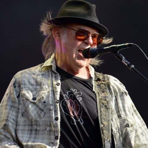 Neil young canta