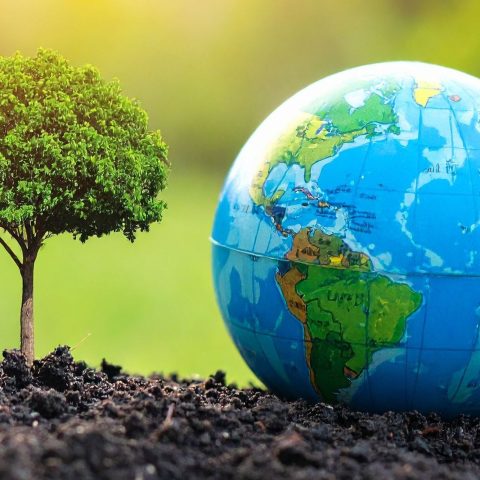 Regole ambientali canva