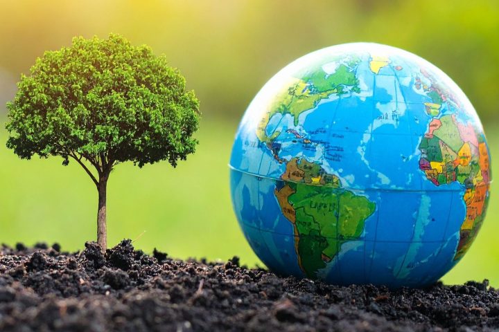 Regole ambientali canva