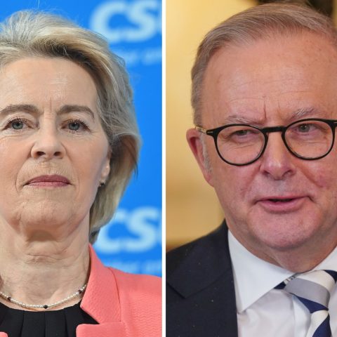 Von der leyen albanese ipa ftg