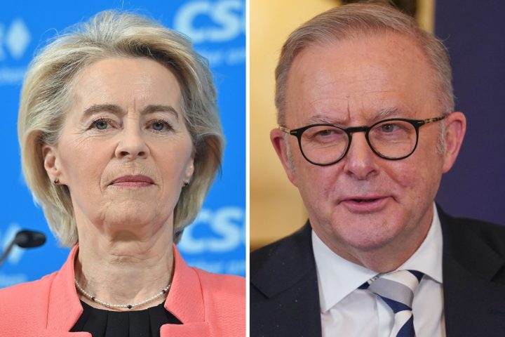 Von der leyen albanese ipa ftg