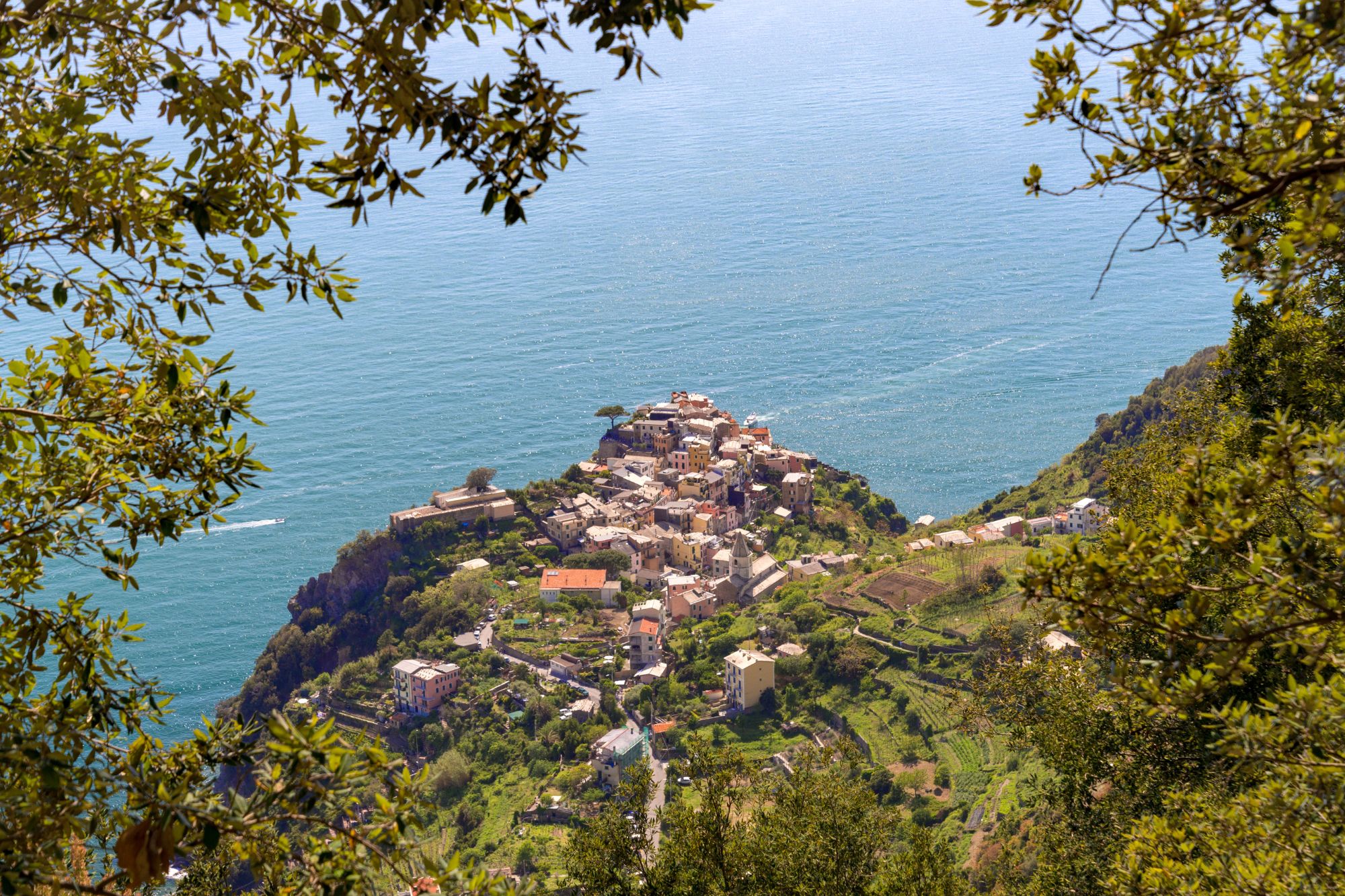Cinque terre canva