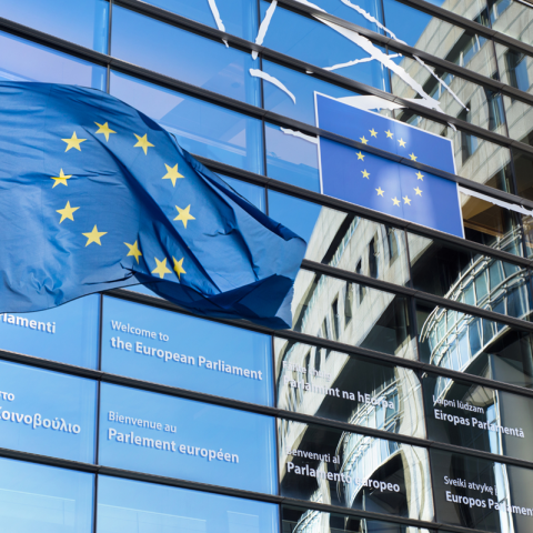 Europarlamento esterno