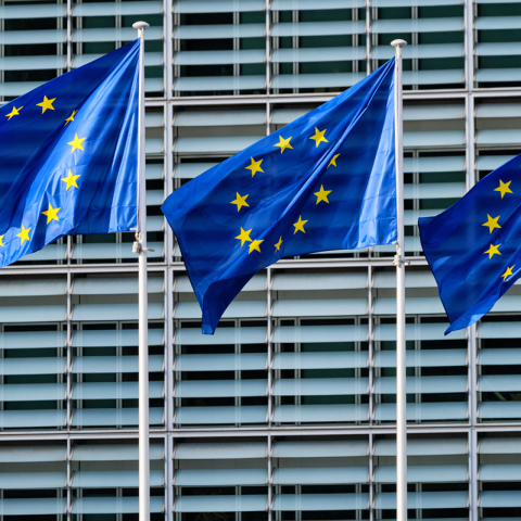 Bandiere unione europea canva