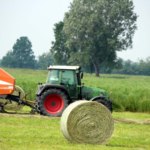 Foto di repertorio di un mezzo agricolo in una coltivazione (Ipa/Fotogramma)