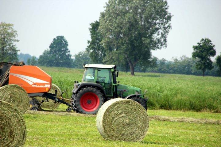 Mezzo agricolo in una coltivazione