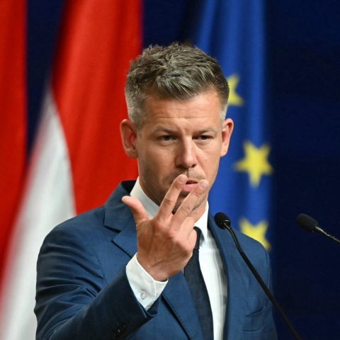 Peter Magyar, leader del partito pro-Europa in Ungheria alla vittoria delle elezioni (Afp)