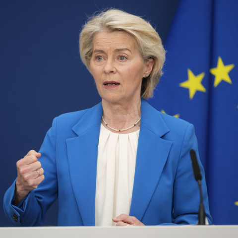 Von der leyen ursula parla consiglio ipa ftg
