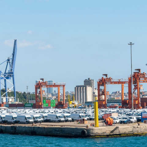 Nave per il trasporto di auto e gru per container in un terminal portuale