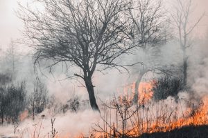 Incendio canva