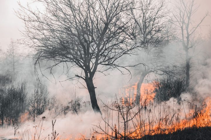 Incendio canva