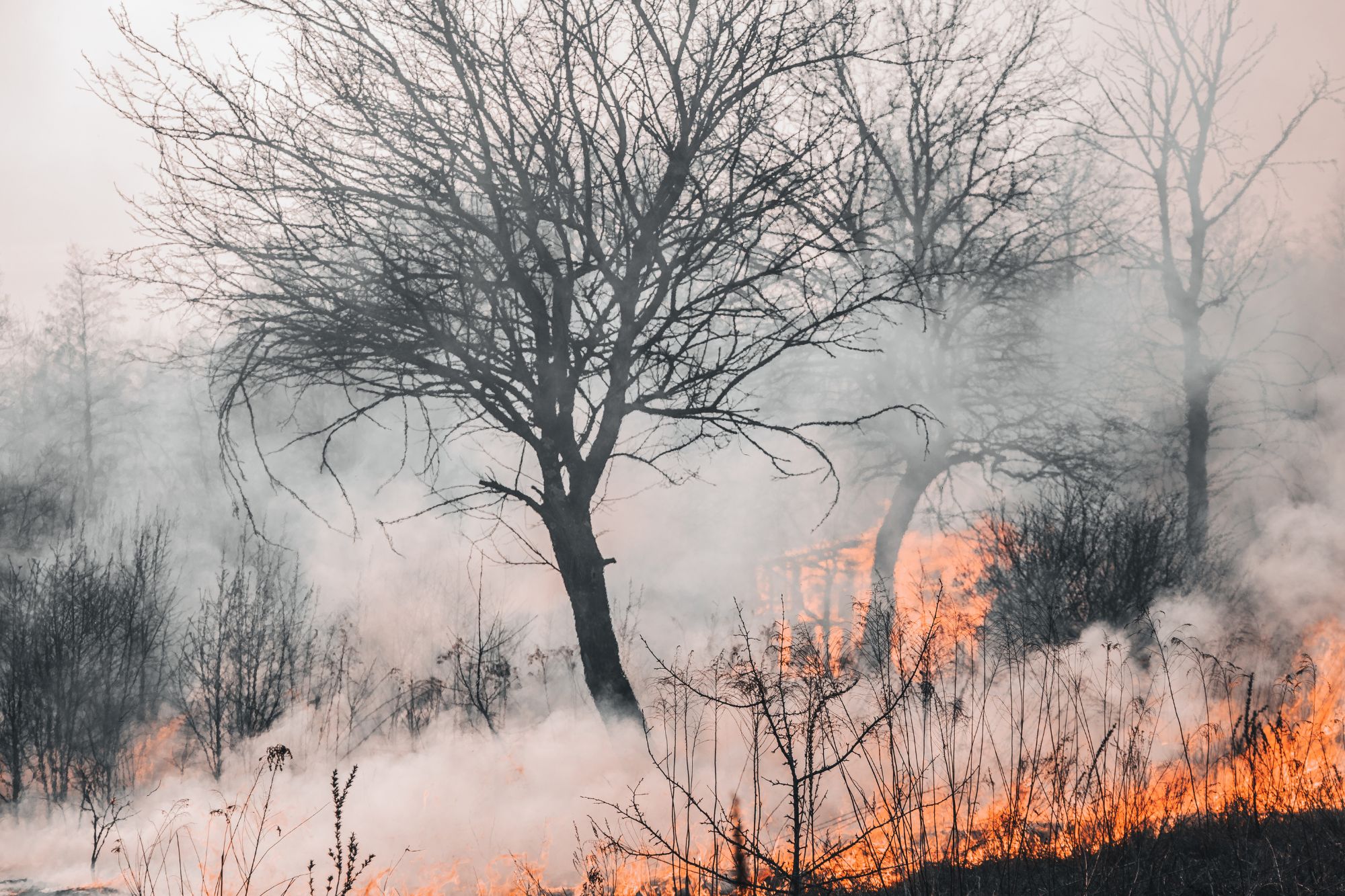 Incendio canva