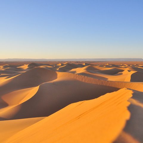 Deserto sahara canva