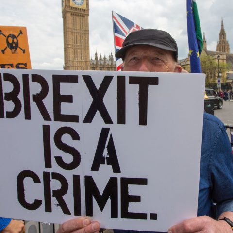 Brexit attivisti ipa