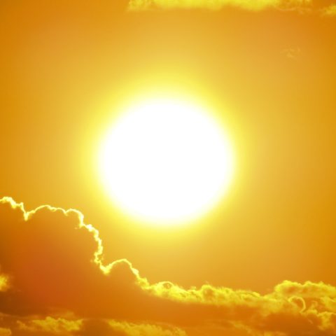 Caldo estremo canva