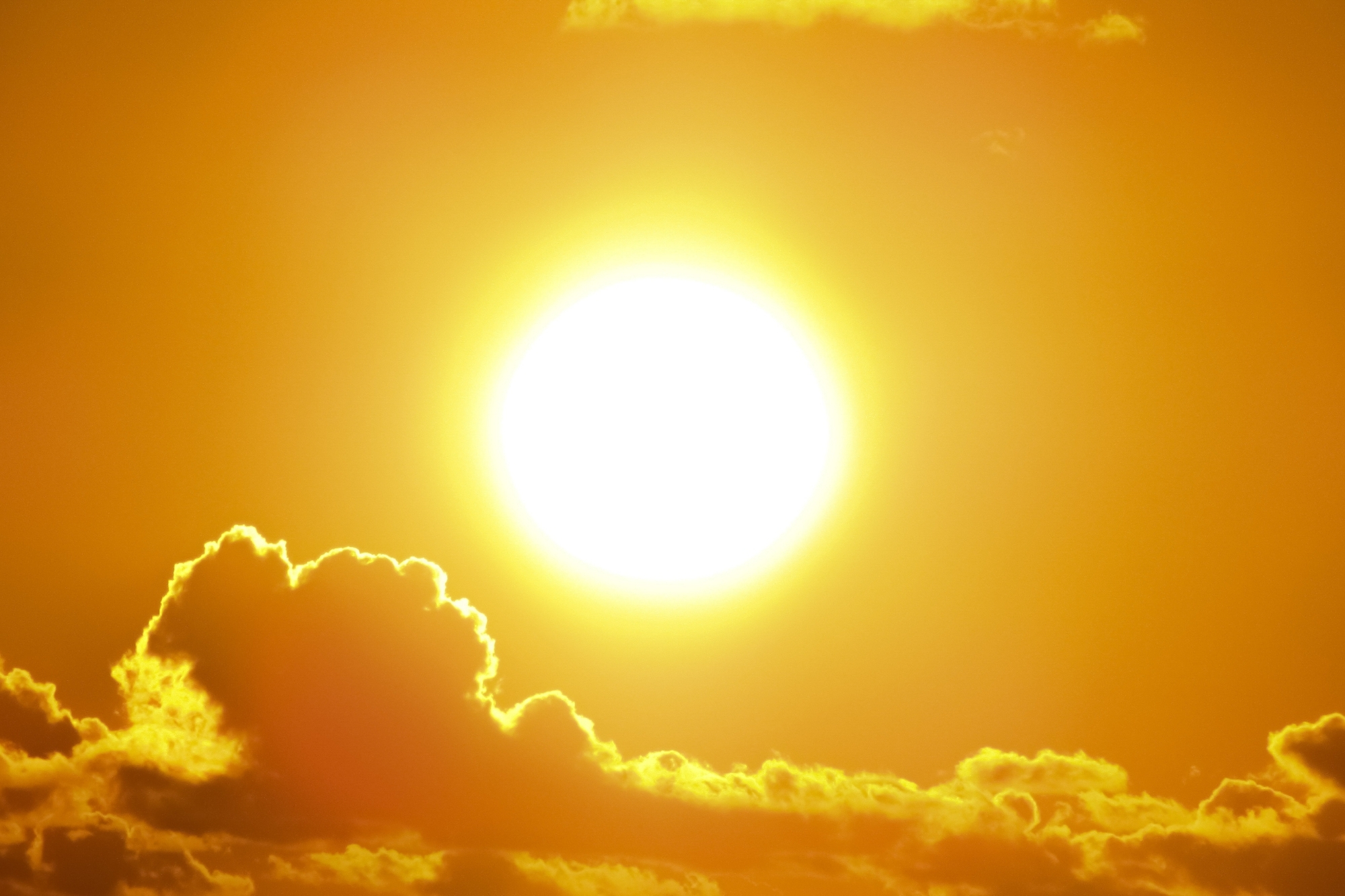Caldo estremo canva