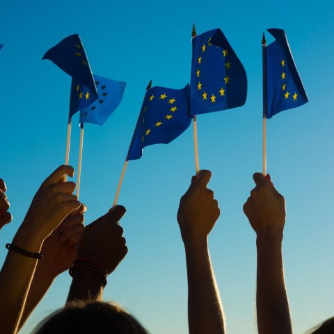 Cittadini europei mani bandiera canva