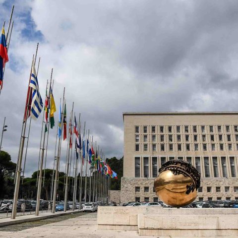 Notizie cs FARNESINA BANDIERE scaled